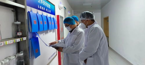 濟寧開展技工院校食堂食品安全專項督導檢查行動，筑牢校園飲食安全防線